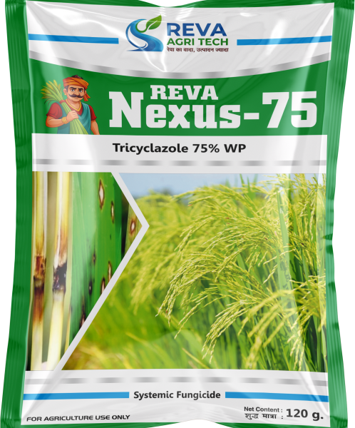 Nexus-75